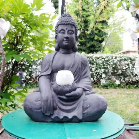 Newmidi Terrace, Wifi Pensjonat 3*