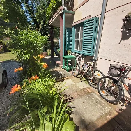 בית הארחה Newmidi Terrace, Wifi