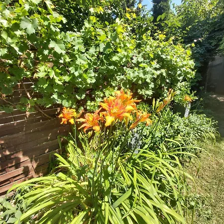 Newmidi Terrace, Wifi בית הארחה 3*