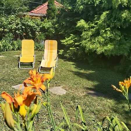 Newmidi Terrace, Wifi Penzion