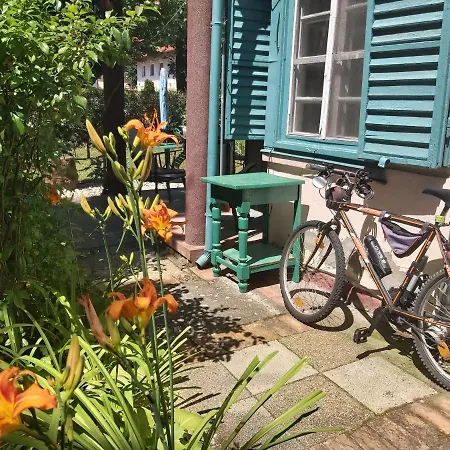 בית הארחה Newmidi Terrace, Wifi