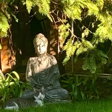 בית הארחה Newmidi Terrace, Wifi 3*